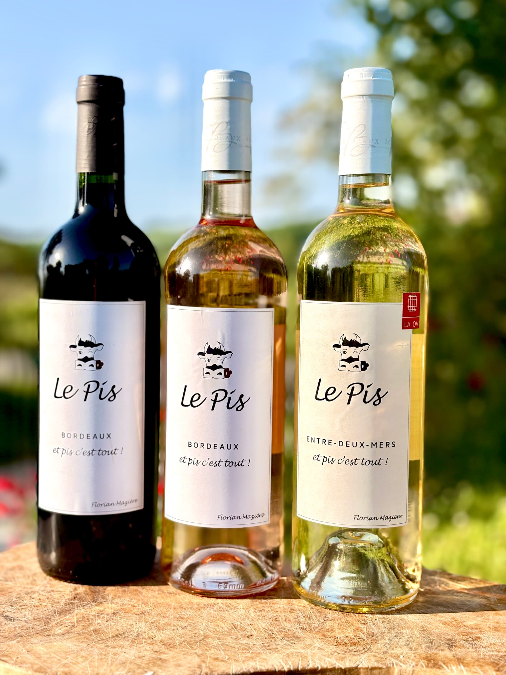 Le Pis rouge Bordeaux 2021 Bio, Miniaturansicht 2