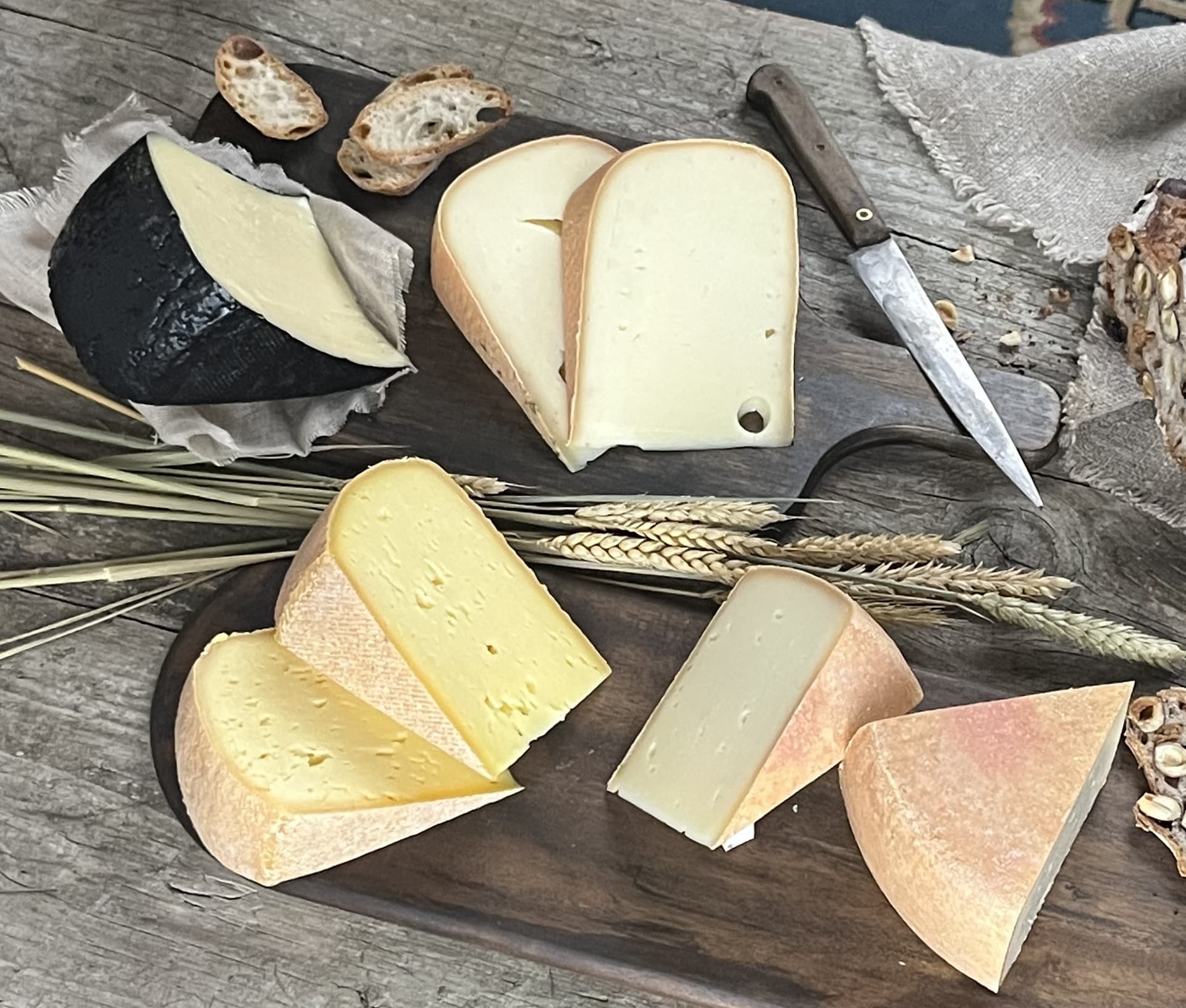 Tome des Pyrénées