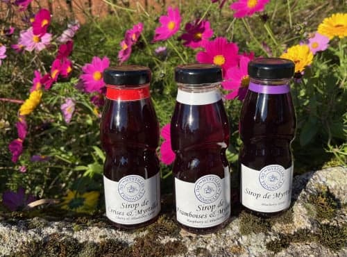 Sirup-Paket