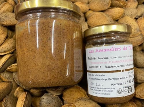 Pralinépaste, Foto 1 von 1