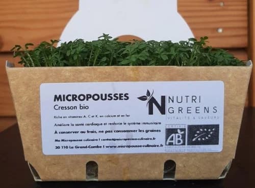 Bio-Microgreens Kresse, 8 Schalen