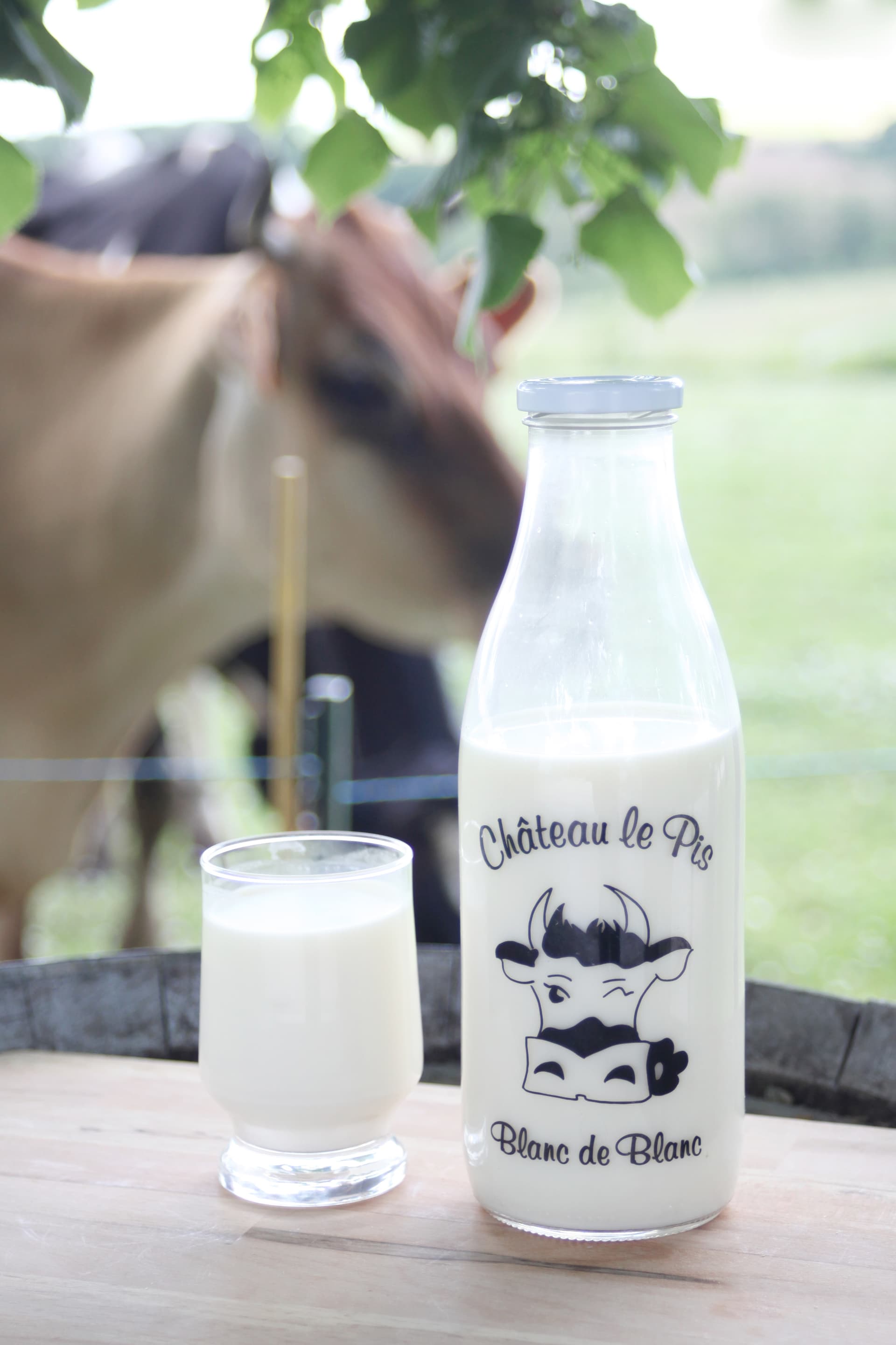 Frische Bio-Rohmilch (Kuhvollmilch)